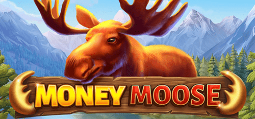 Money Moose Slot Review