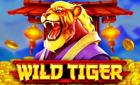 Wild Tiger Slot Review